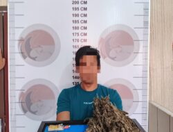 Diduga Jadi Pengedar Narkotika Jenis Ganja Pria Berumur 37 tahun di Bener Meriah di Ringkus Polisi