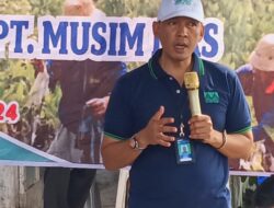 DPC HNSI KOTA MEDAN BERSAMA PT MUSIM MAS TANAM 7000 POHON MANGROVE DIBIBIR PANTAI BAGAN DELI