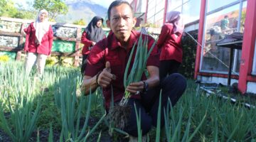 Rutan Bener Meriah Panen Bawang Daun Hasil Pembinaan WBP, Sebagai Bentuk Dukungan Ketahan Pangan Nasional