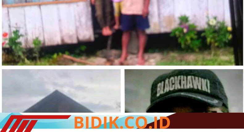foto slider headline