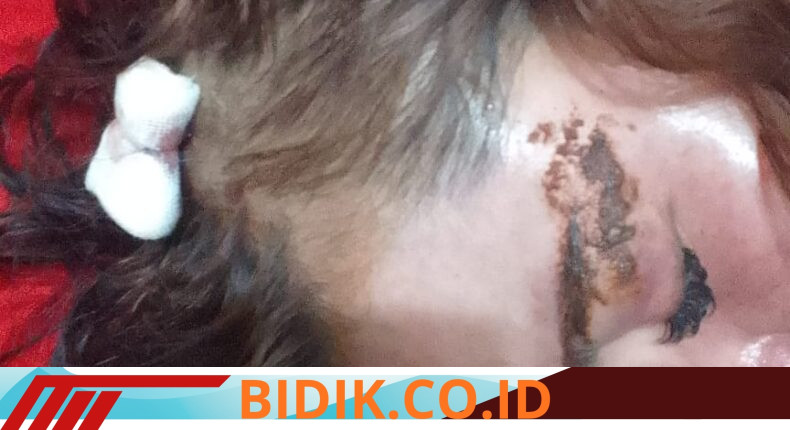 foto slider headline