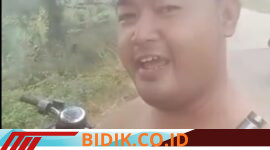 Oplus_16908288