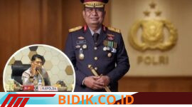 Oplus_16908288