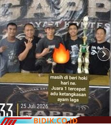 foto slider headline