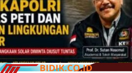 Oplus_16908288