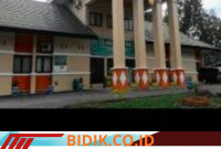 Oplus_16908288