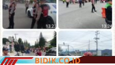 Oplus_16908288