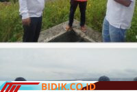 Oplus_16908288