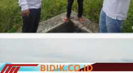 Oplus_16908288