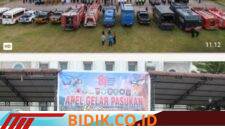 Oplus_16908288