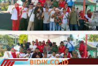 Oplus_16908288