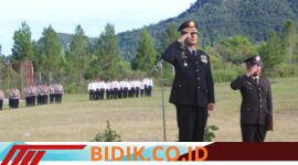 Oplus_16908288