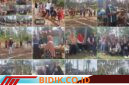 Oplus_16908288
