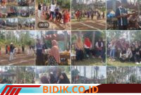 Oplus_16908288