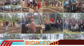 Oplus_16908288