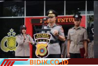 Oplus_16908288