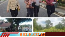 Oplus_16908288