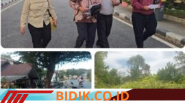 Oplus_16908288