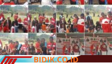 Oplus_16908288
