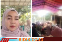 Oplus_16908288