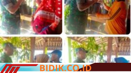 Oplus_16908288