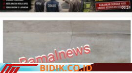 Oplus_16908288