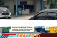 Oplus_16908288
