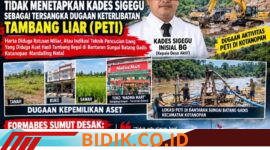 Oplus_16908288
