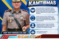 Oplus_16908288