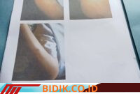 Oplus_16908288