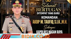 Oplus_16908288