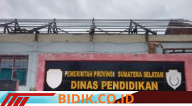 Oplus_16908288
