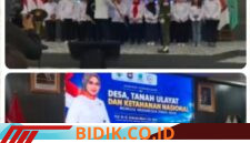 Oplus_16908288
