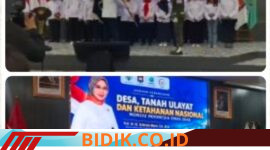 Oplus_16908288
