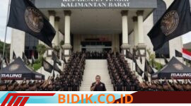 Oplus_16908288