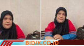 Oplus_16908288