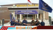 Oplus_16908288