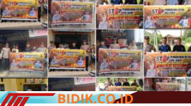 Oplus_16908288