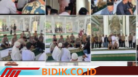Oplus_16908288
