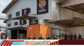 Oplus_16908288