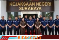 Oplus_16908288