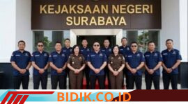 Oplus_16908288