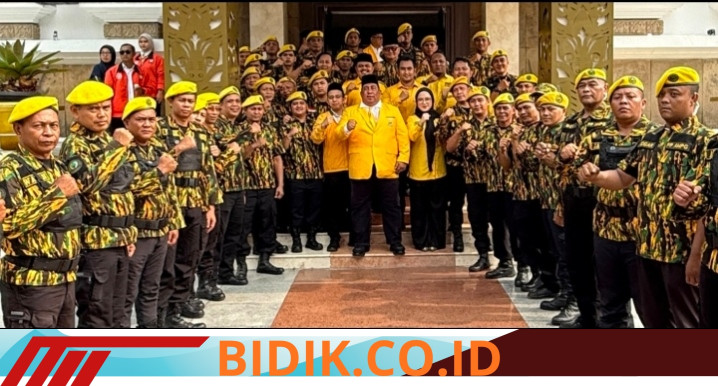 Oplus_16908288