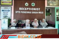 Oplus_16908288