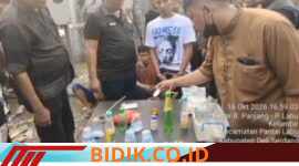 Oplus_16908288