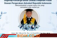 Oplus_16908288