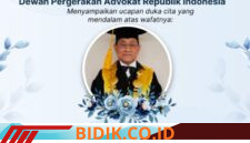 Oplus_16908288