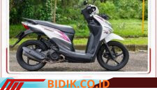 Oplus_16908288