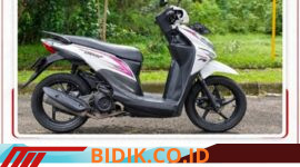 Oplus_16908288