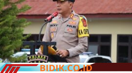 Oplus_16908288